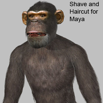 3d 3ds chimpanzee - Chimpanzee by 3d_Wanderer