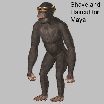 3d 3ds chimpanzee - Chimpanzee by 3d_Wanderer