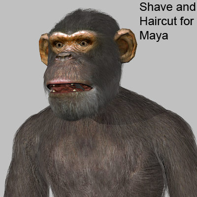 3d 3ds chimpanzee - Chimpanzee by 3d_Wanderer