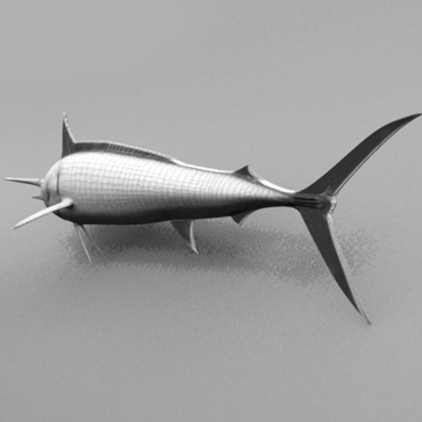 blue marlin fish ma - Blue Marlin by Inspired Grafix