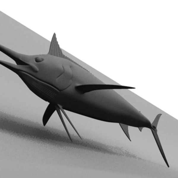blue marlin fish ma - Blue Marlin by Inspired Grafix