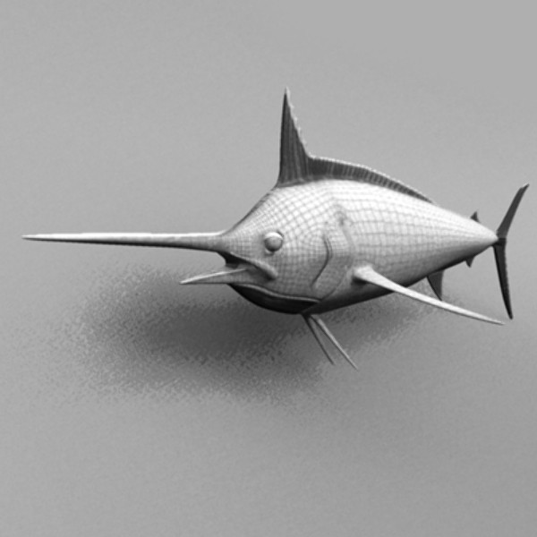 blue marlin fish ma - Blue Marlin by Inspired Grafix
