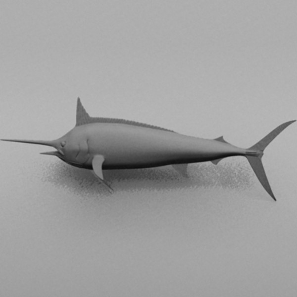 blue marlin fish ma - Blue Marlin by Inspired Grafix