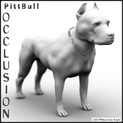 3d model pitbull pit bull - Pitbull by Massimo Righi