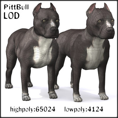 3d model pitbull pit bull - Pitbull by Massimo Righi