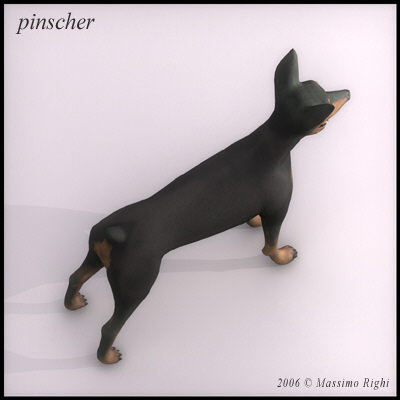 pinscher dog 3d model - Pinscher by Massimo Righi