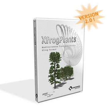 XfrogPlants Lebanon Cedar