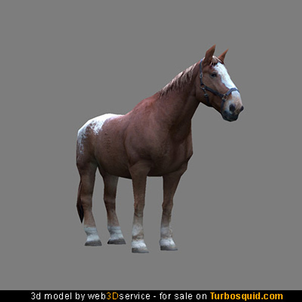 Textured Heavy Horse 3d model