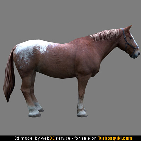 Textured Heavy Horse 3d model