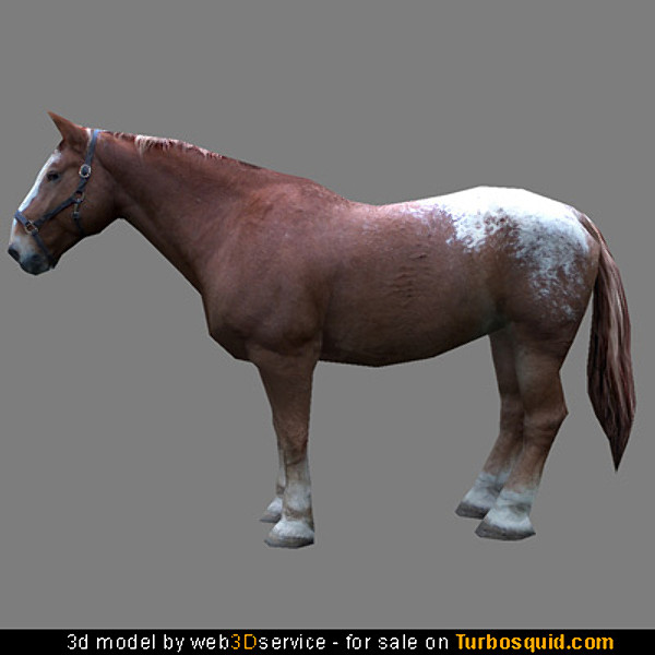 Textured Heavy Horse 3d model