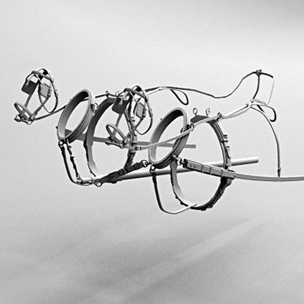 3d horse car carriage - Carriage and Horses 3ds by QLEE