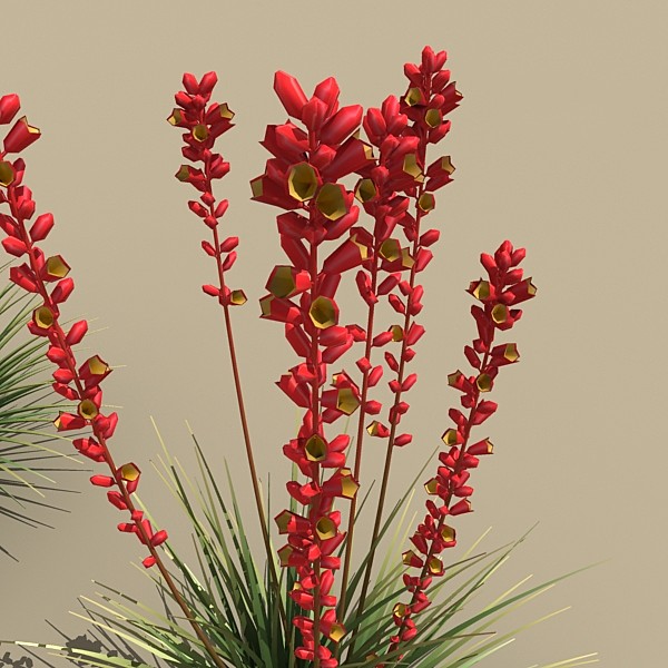 red yucca 3ds - plant_red_yucca by monkeyodoom