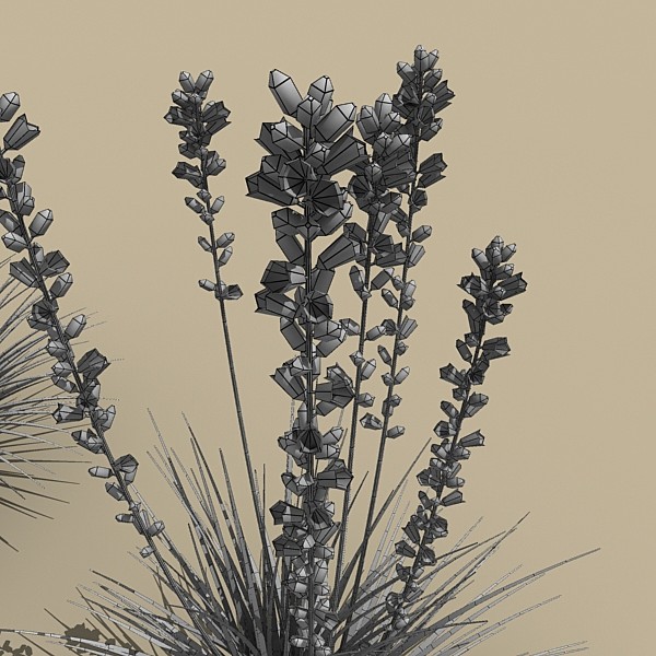 red yucca 3ds - plant_red_yucca by monkeyodoom