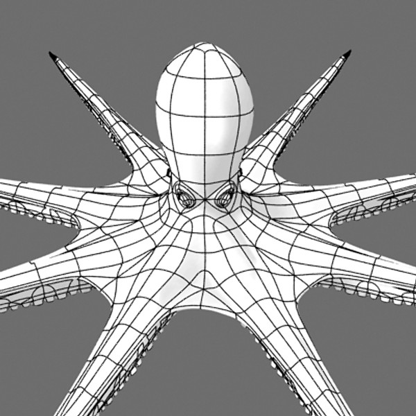 3d model rigged octopus - Octopus Rigged by NONECG