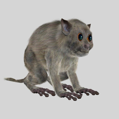3ds max body tarsiers - Tarsiers by 3d_Wanderer
