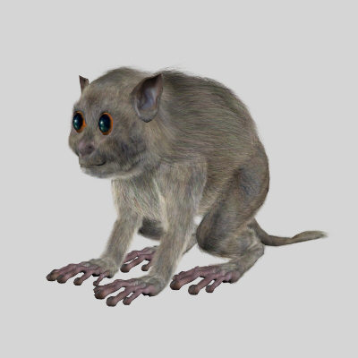 3ds max body tarsiers - Tarsiers by 3d_Wanderer