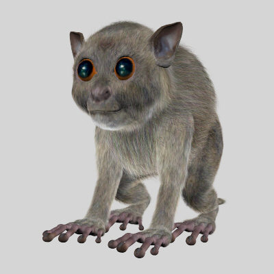 3ds max body tarsiers - Tarsiers by 3d_Wanderer