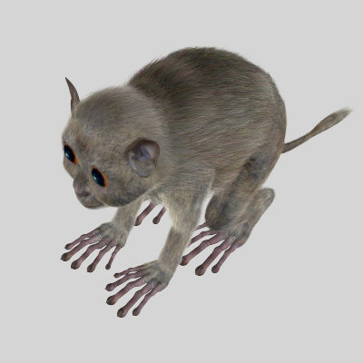 3ds max body tarsiers - Tarsiers by 3d_Wanderer