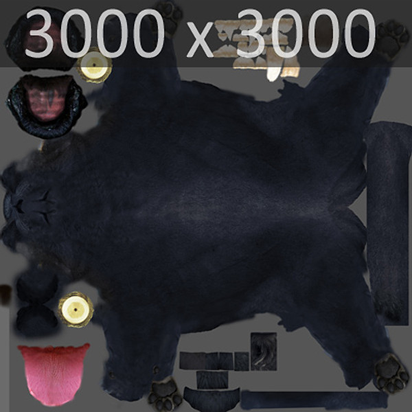 Panther