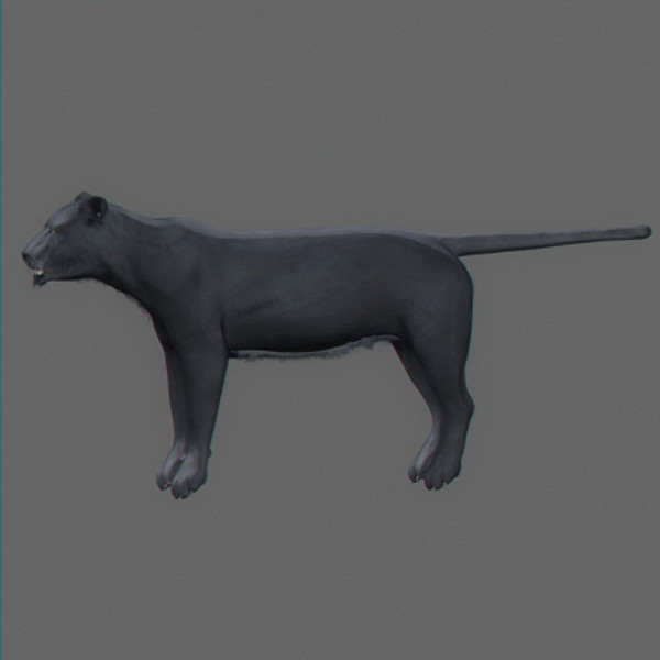Panther