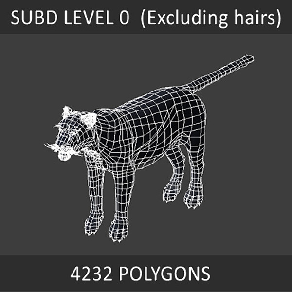 Panther