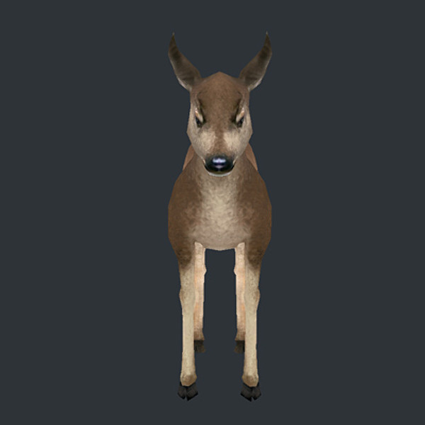 3d model deer fawn - deer_fawn_obj.zip by web3Dservice