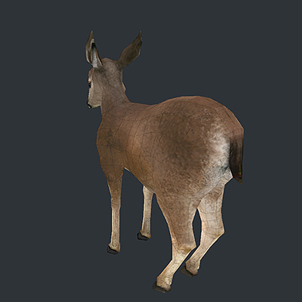 3d model deer fawn - deer_fawn_obj.zip by web3Dservice