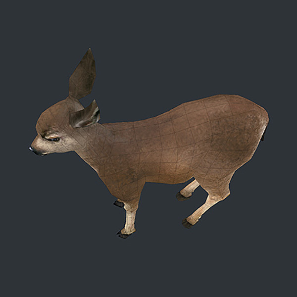 3d model deer fawn - deer_fawn_obj.zip by web3Dservice