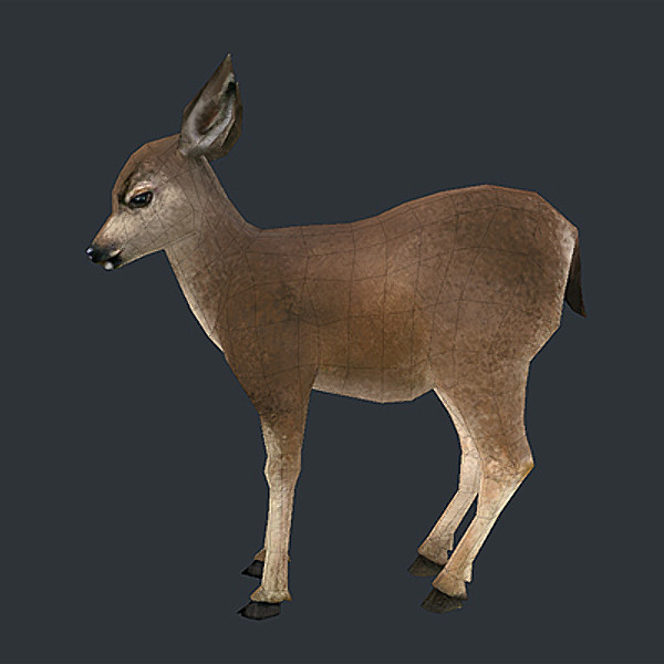 3d model deer fawn - deer_fawn_obj.zip by web3Dservice