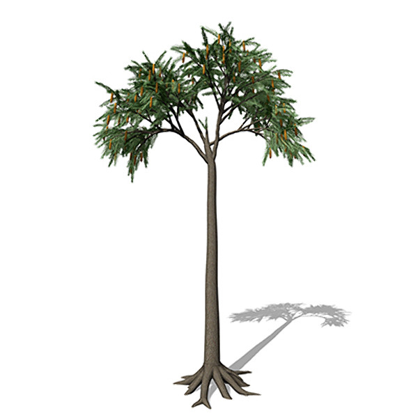 max xfrogplants lepidodendron plant tree - XfrogPlants Lepidodendron by xfrog