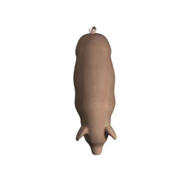 pig 3ds - Pig by molito