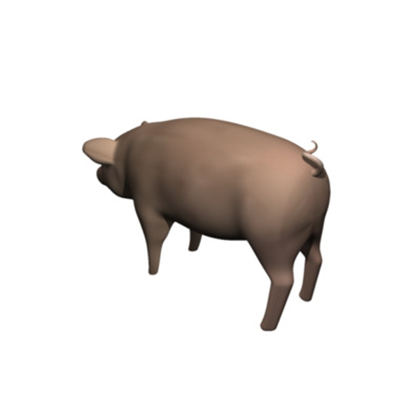pig 3ds - Pig by molito