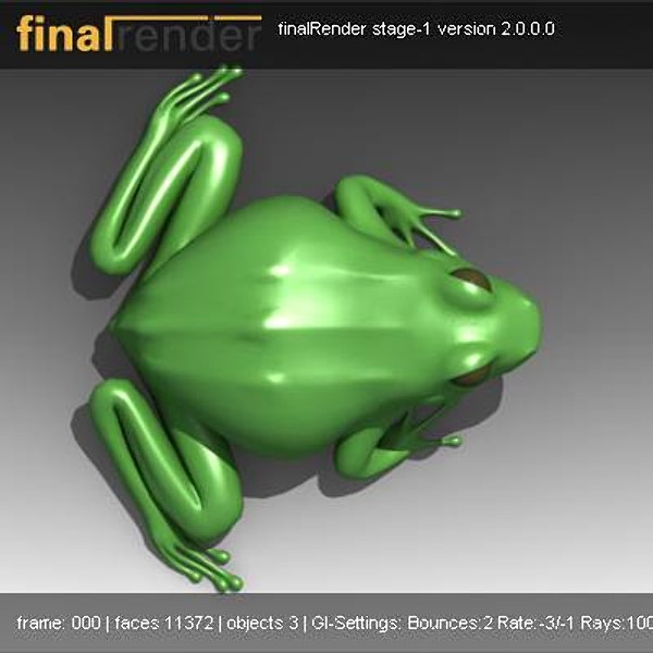 3d frog model - frog by VirtualWax
