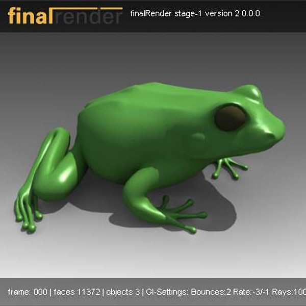 3d frog model - frog by VirtualWax