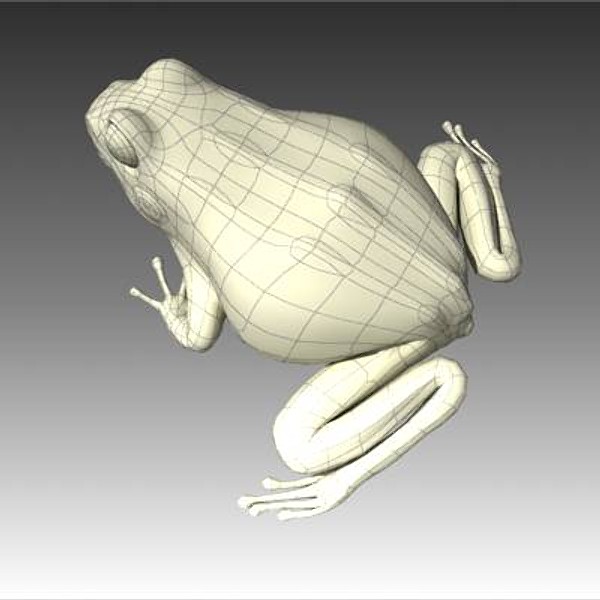 3d frog model - frog by VirtualWax
