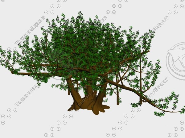 max tree banyan - banyan tree01.max by Animation Anchor Line