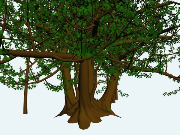 max tree banyan - banyan tree01.max by Animation Anchor Line