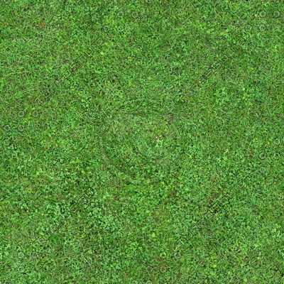 Grass Textures 2048x2048 vol.7