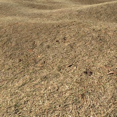 Grass Textures 2048x2048 vol.7