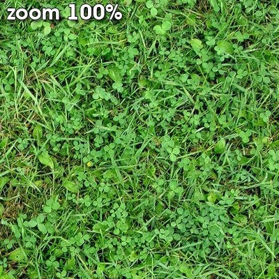 Grass Textures 2048x2048 vol.7