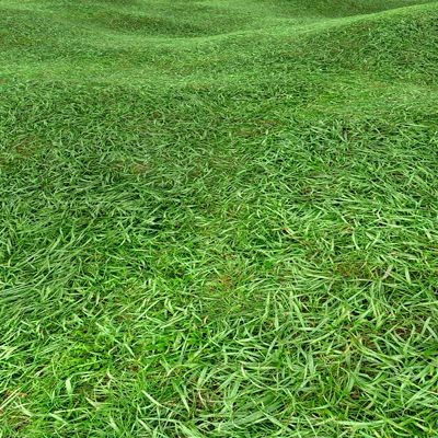 Grass Textures 2048x2048 vol.7