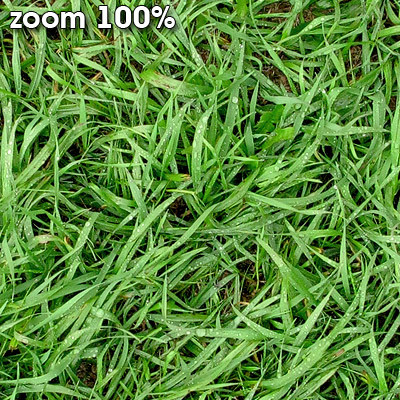 Grass Textures 2048x2048 vol.7