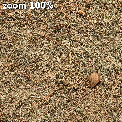 Grass Textures 2048x2048 vol.7