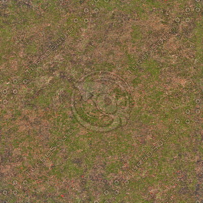 Grass Textures 2048x2048 vol.7