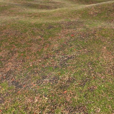 Grass Textures 2048x2048 vol.7
