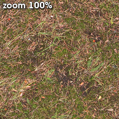 Grass Textures 2048x2048 vol.7