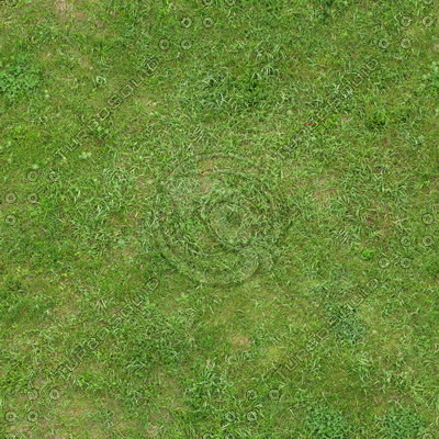 Grass Textures 2048x2048 vol.7
