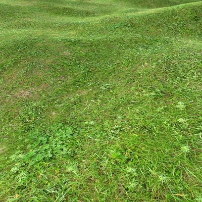 Grass Textures 2048x2048 vol.7