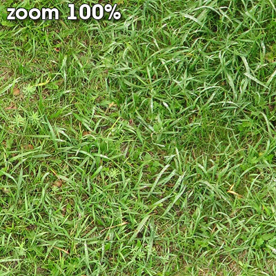 Grass Textures 2048x2048 vol.7