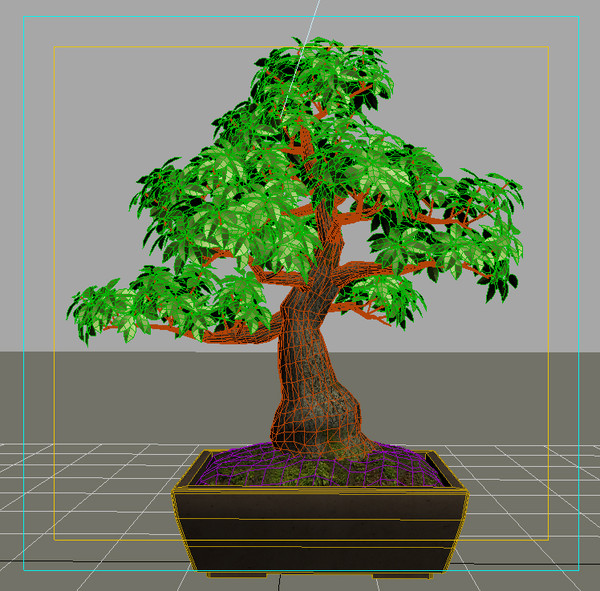 Tree - Bonsai_01